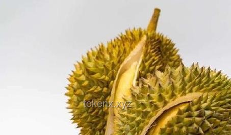 **游客在新加坡酒店吃榴莲被罚千元：规定严苛与文明塑造的深度剖析**