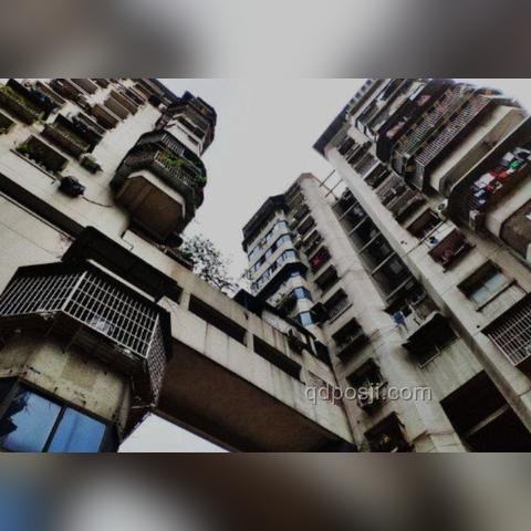 “天天喊累”现象背后的深度剖析与未来趋势