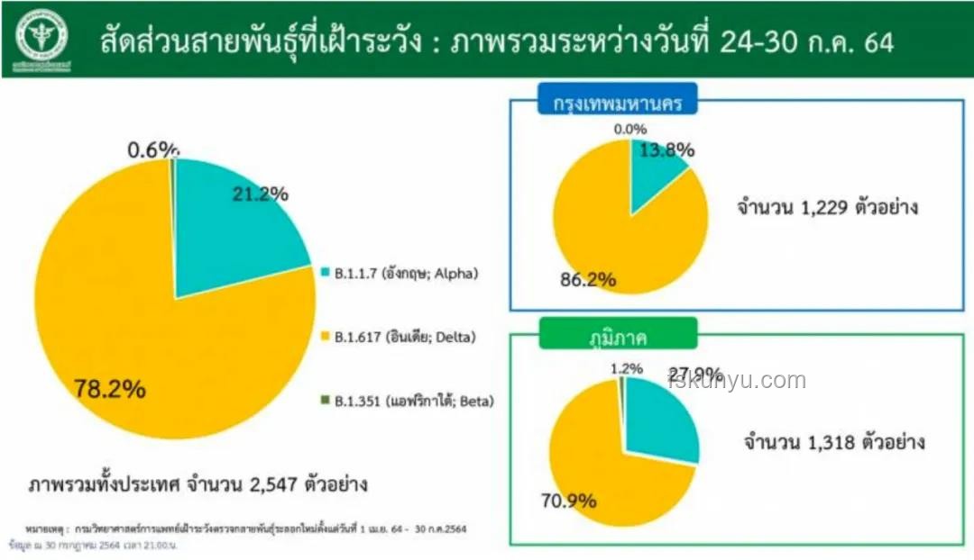 巴西P1毒株快速传播案例研究