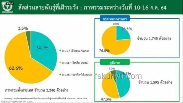 巴西P1毒株快速传播案例研究
