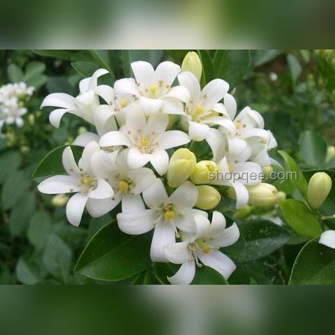 《通过宵的都懂》：夜间经济与健康生活方式融合新趋势